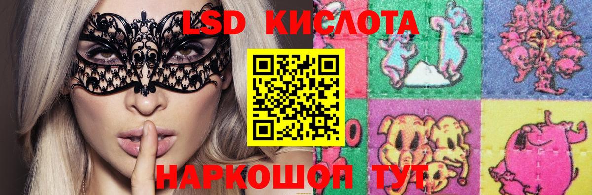 Анжеро-Судженск  ЛСД экстази кислота  Вход с VPN  ЛСД экстази ecstasy 