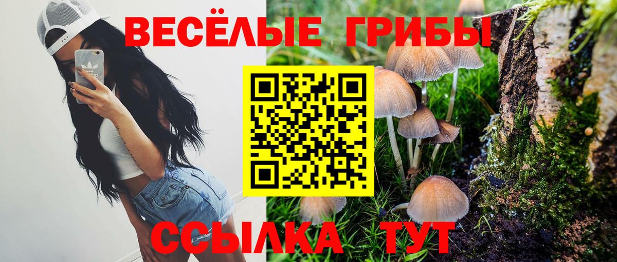 Псилоцибиновые грибы MAGIC MUSHROOMS  Вход с VPN  Анжеро-Судженск  Псилоцибиновые грибы MAGIC MUSHROOMS 