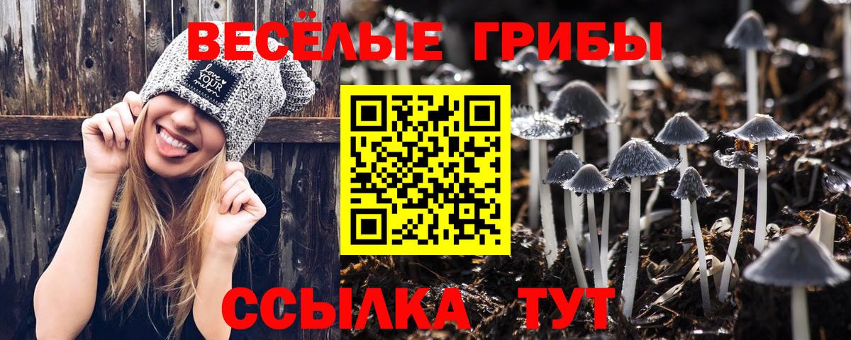 Галлюциногенные грибы GOLDEN TEACHER Анжеро-Судженск
